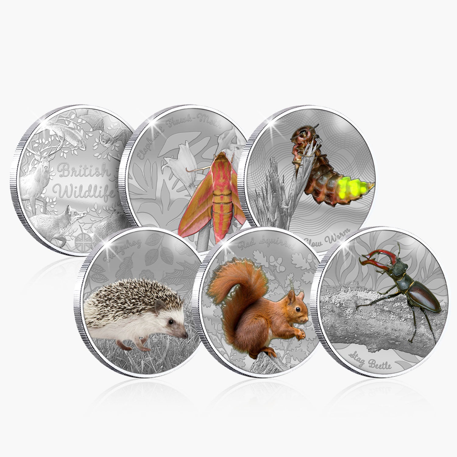 British Wildlife - Bundle A
