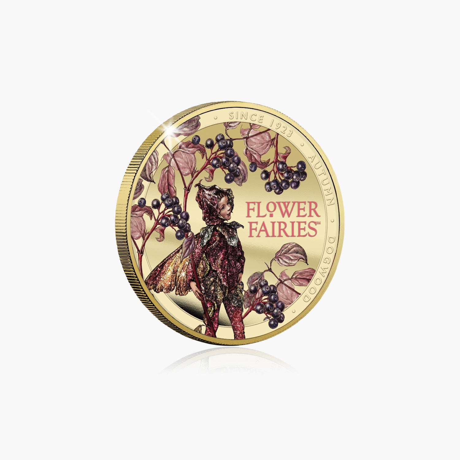 Flower Fairies 2025 - Dogwood Coin