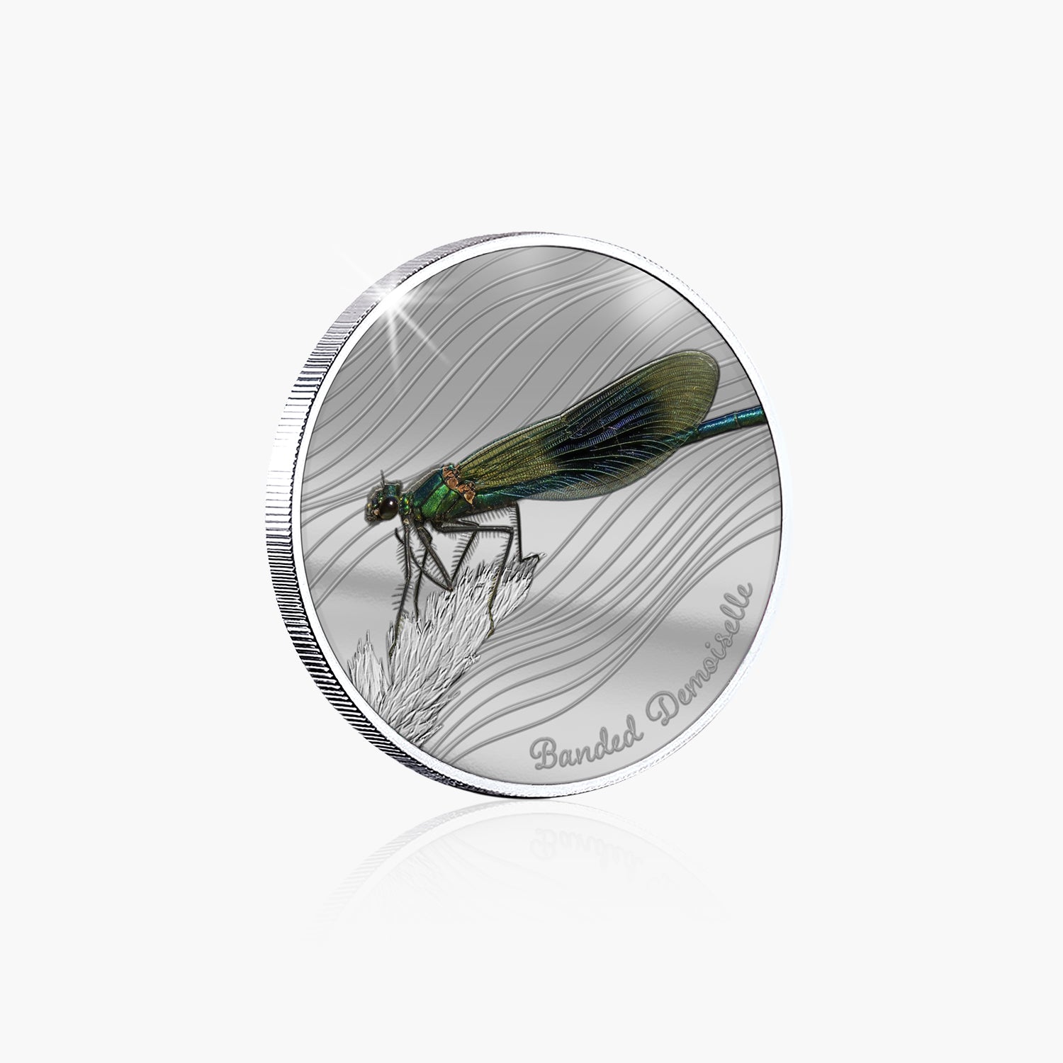 British Wildlife Banded Demoiselle Silver Plated BU Commemorative