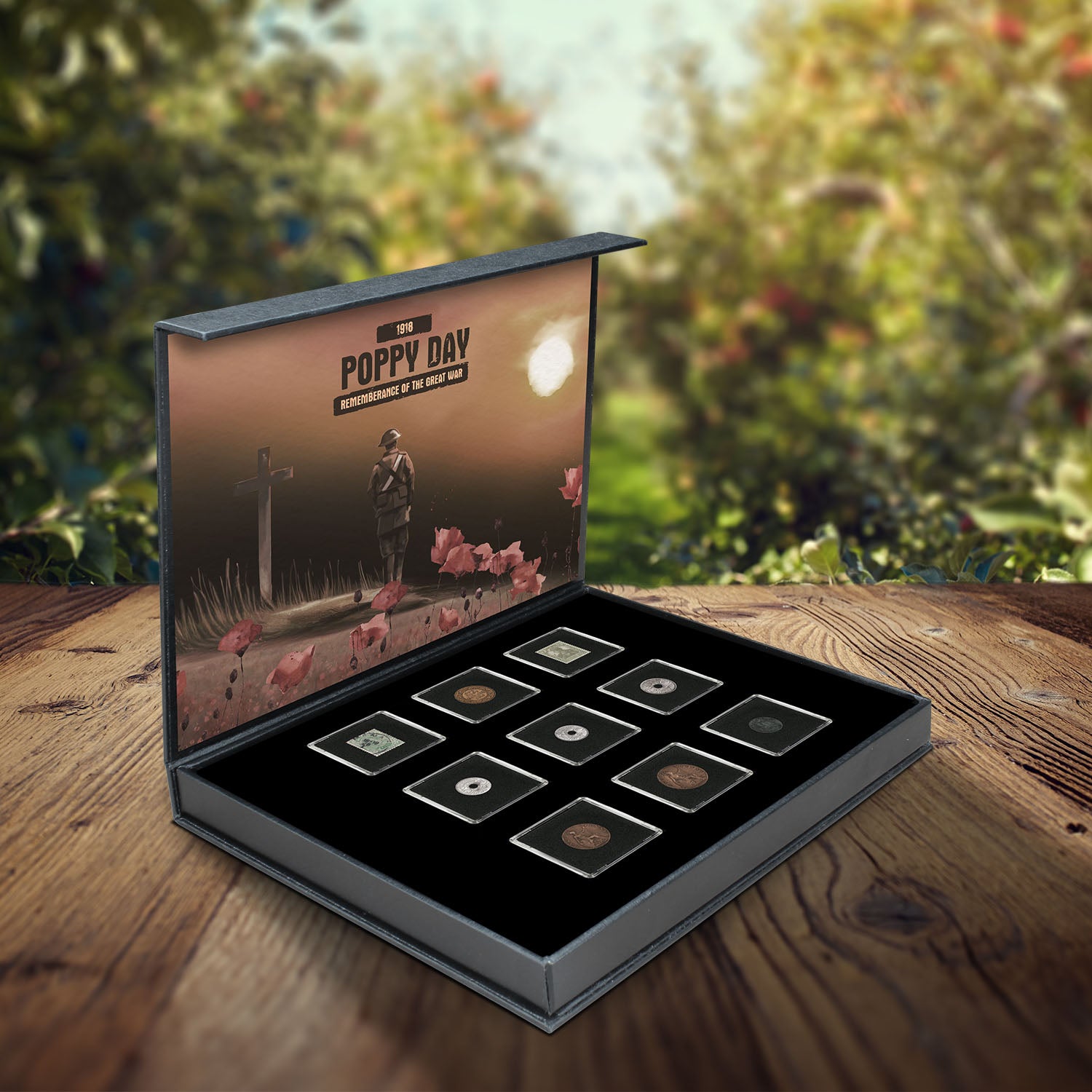 The Poppy Day Coin Collection – Remembrance of the Great War