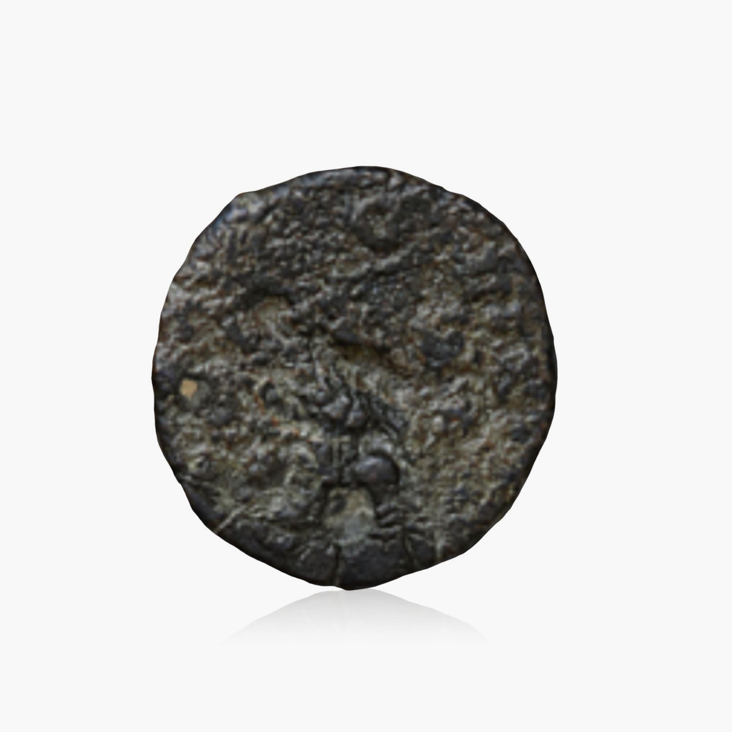 Emperors, Gods, and Legions - Authentic Ancient Roman Coin Set