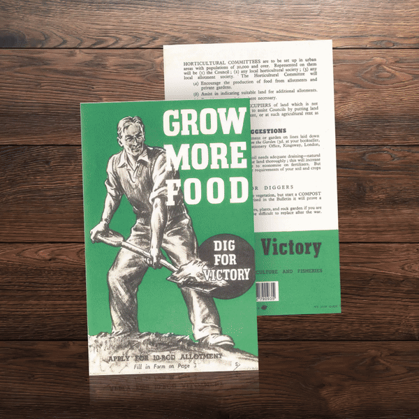 Life in WWII Memorabilia Collector Set