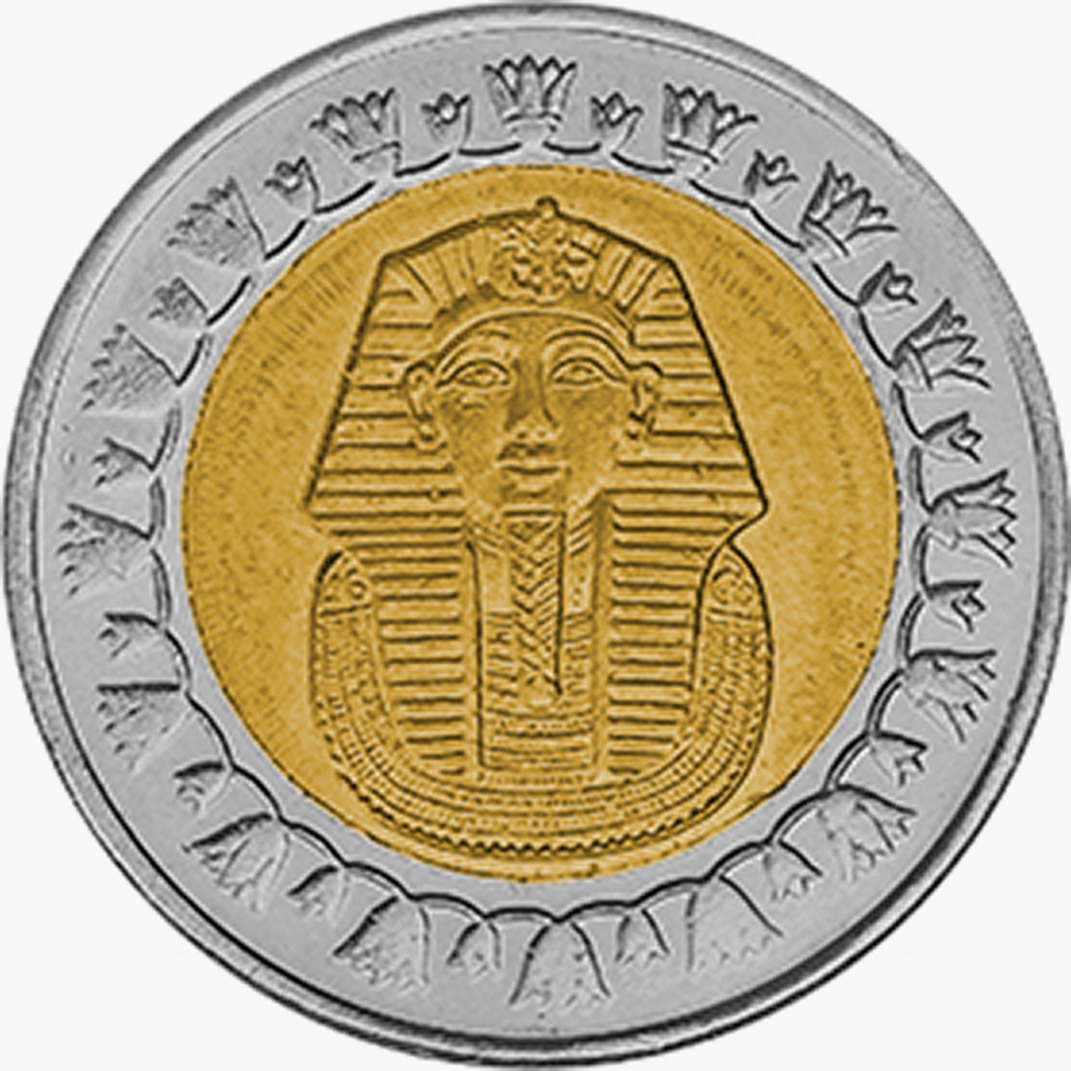 The Five - Bimetallic Coins