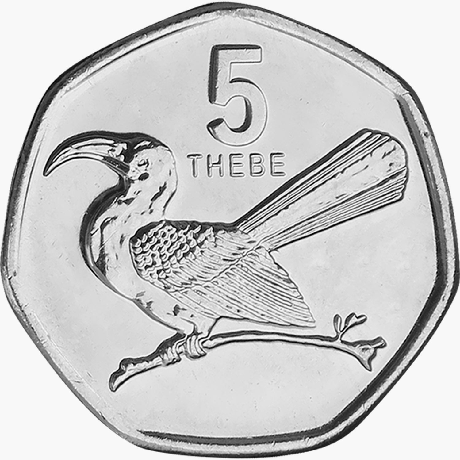 Los Cinco - Pájaros