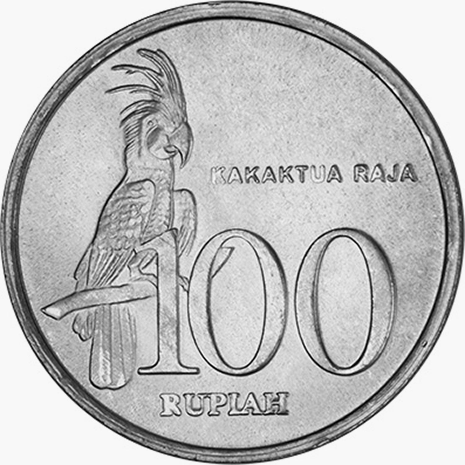 Los Cinco - Pájaros