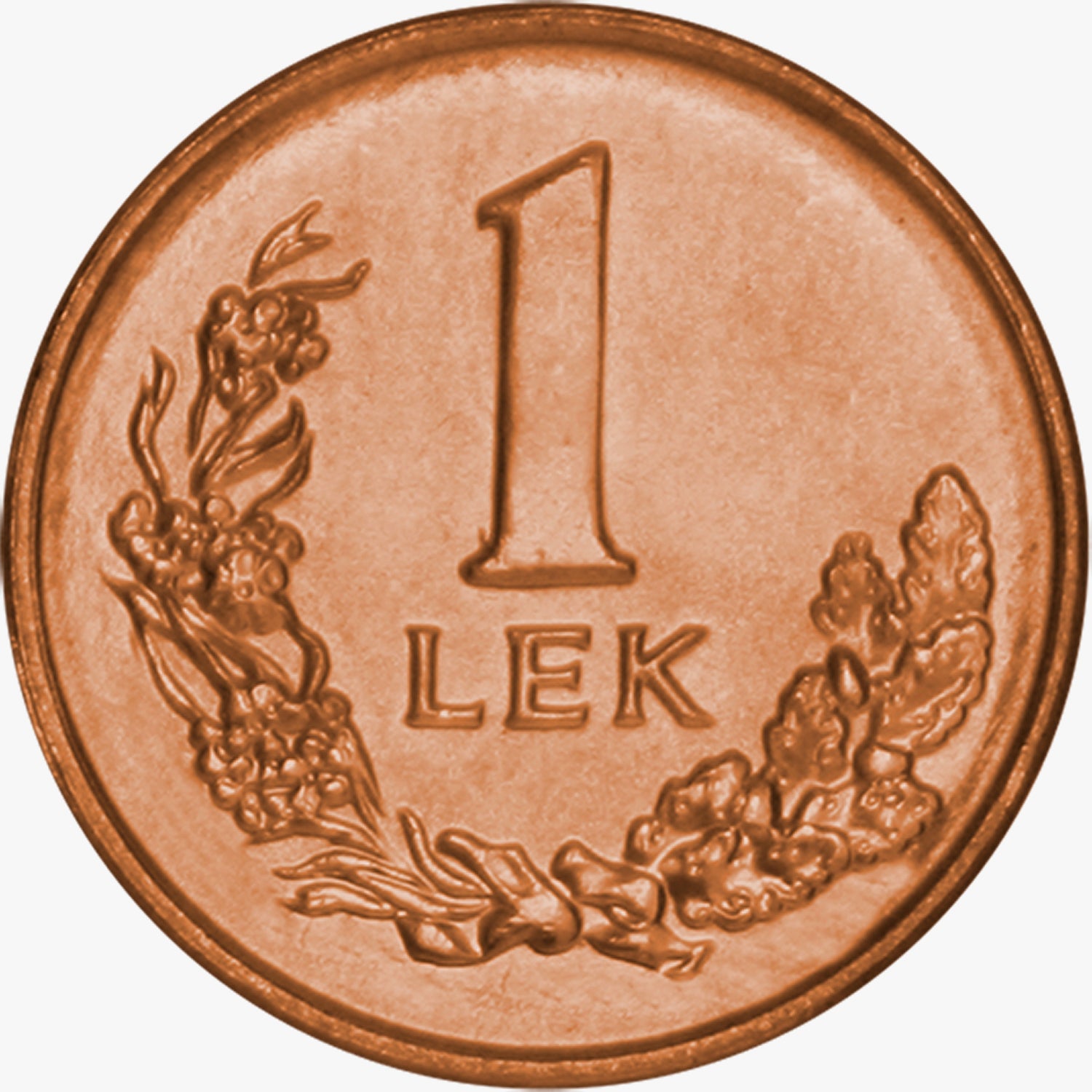 Los Cinco - Pájaros