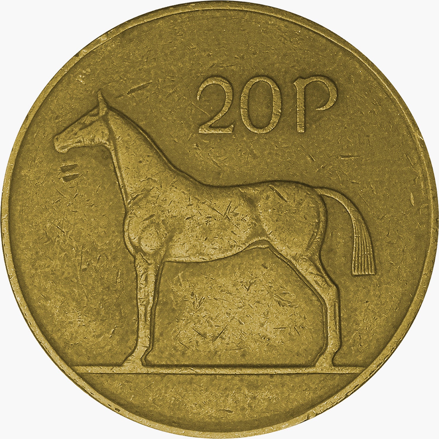 Los Cinco - Caballos