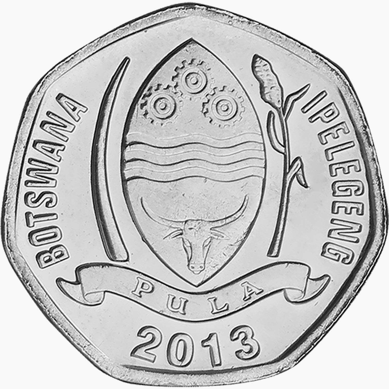 Los Cinco - Pájaros