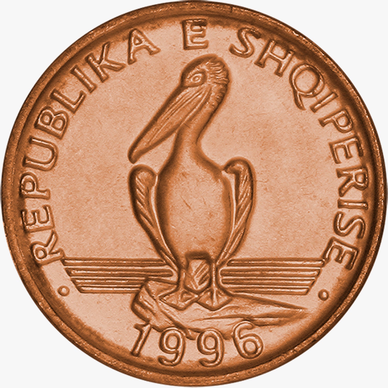 Los Cinco - Pájaros