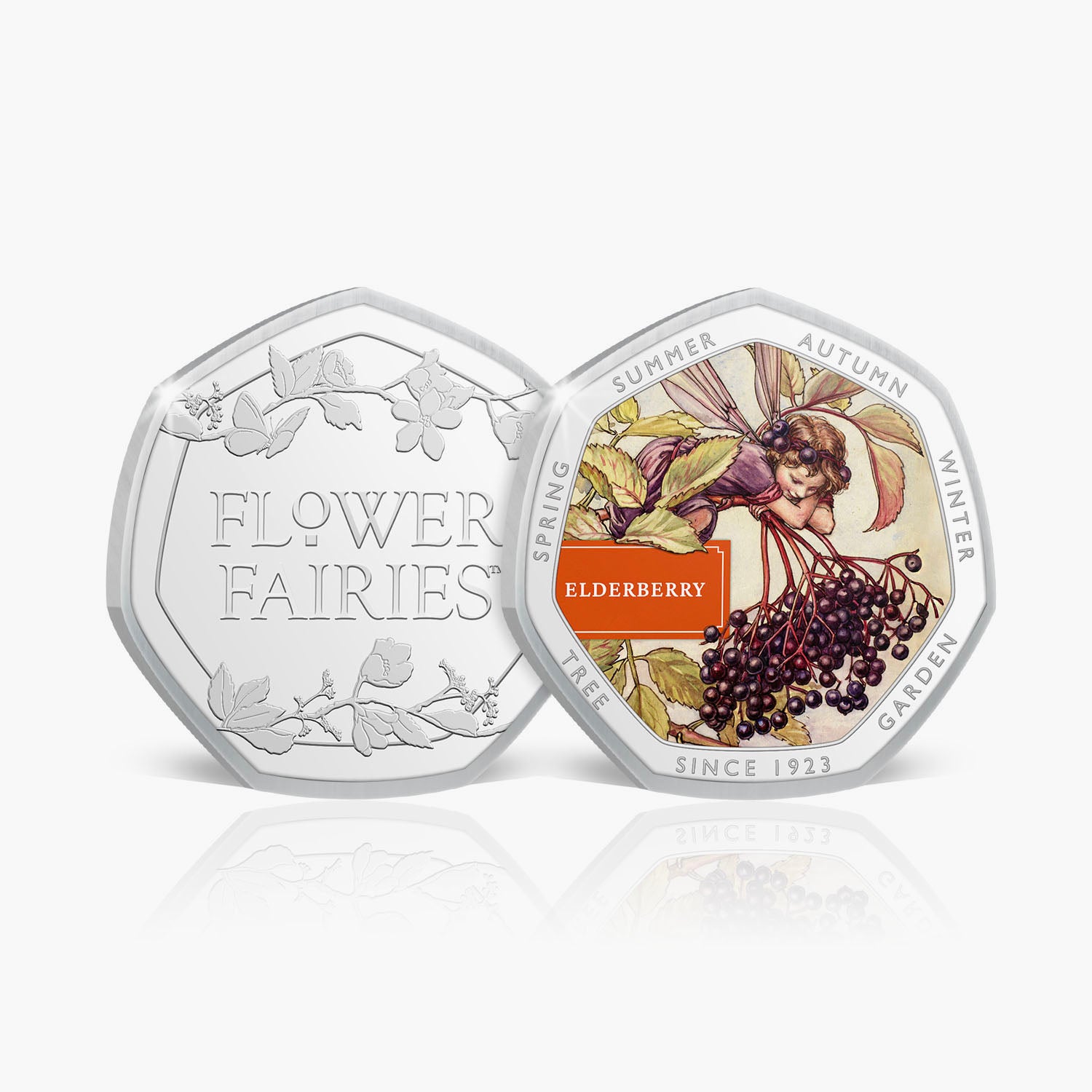 Flower Fairies Autumn Collector Volume 1