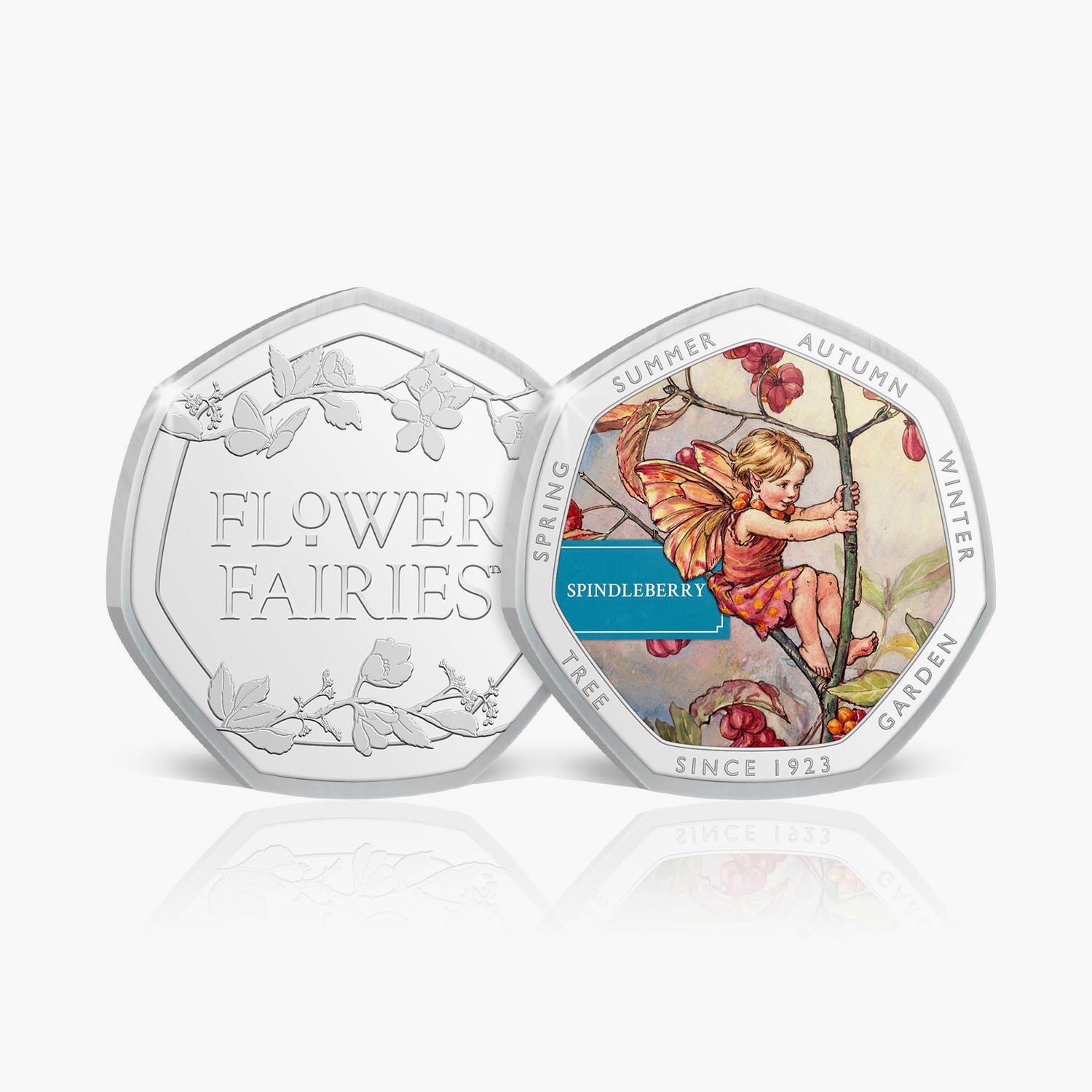 Flower Fairies Winter Collector Volume 1