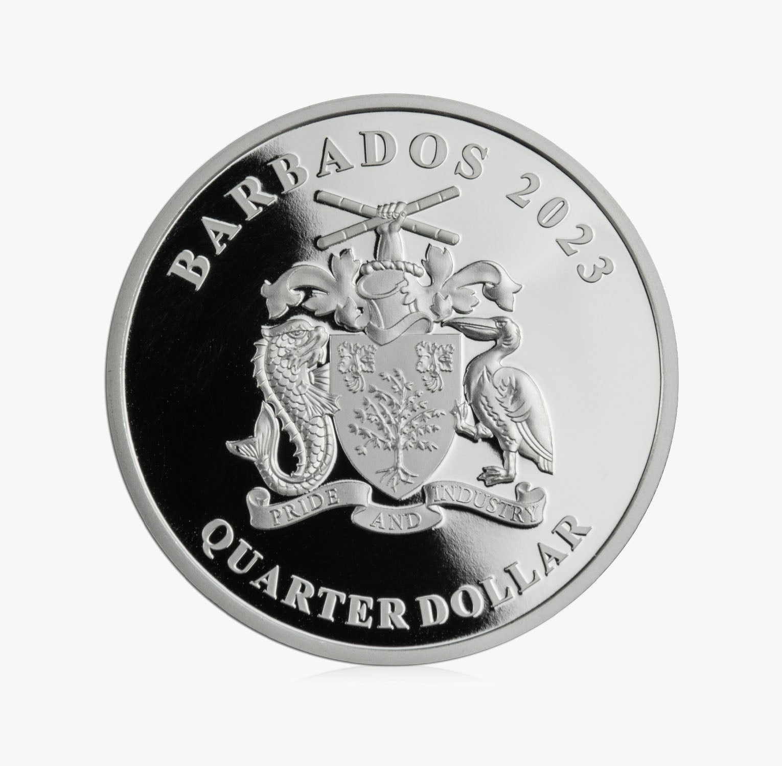 King Charles III 2023 Coronation Celebration Coin