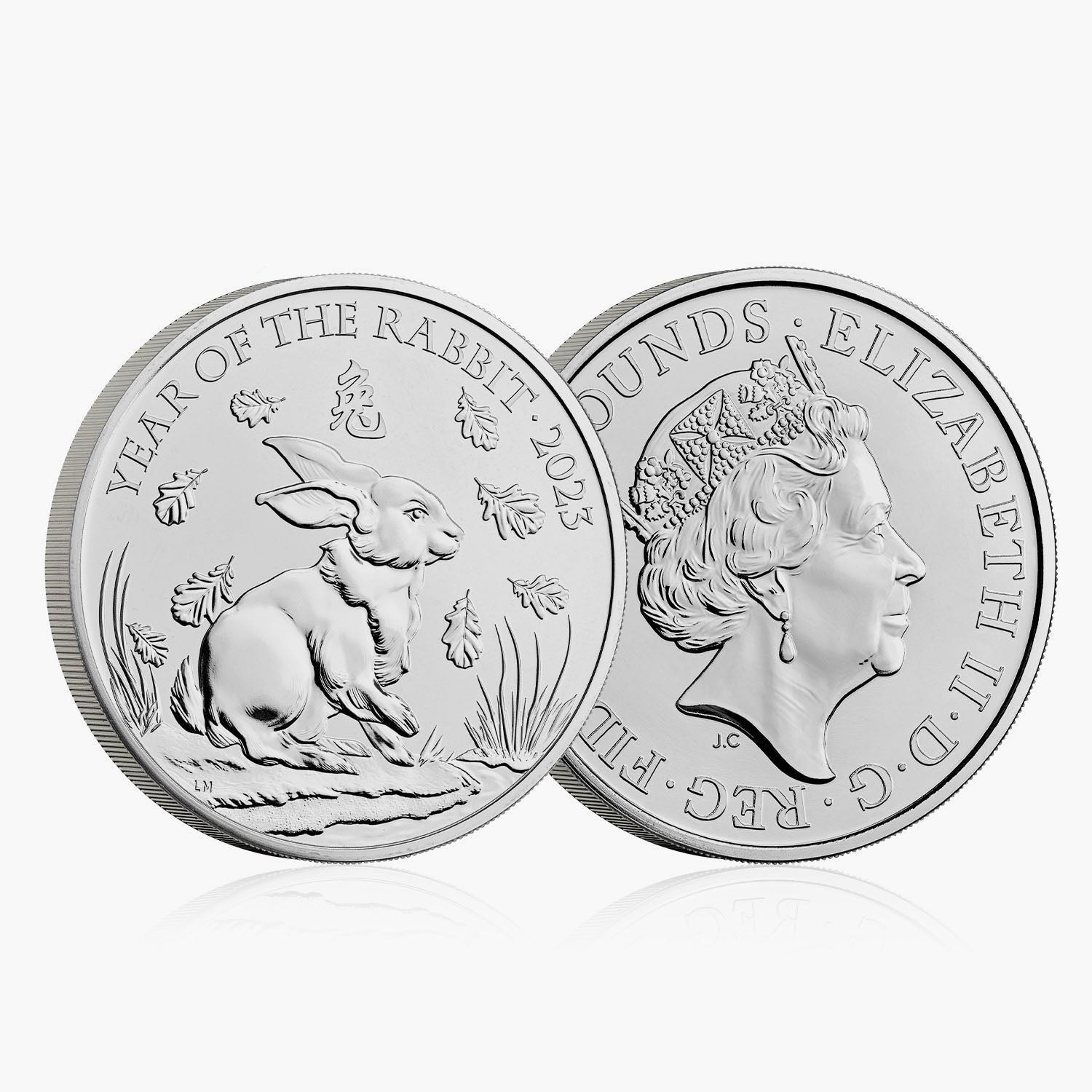 The Lunar Year of the Rabbit 2023 £5 BU - Rare Coin