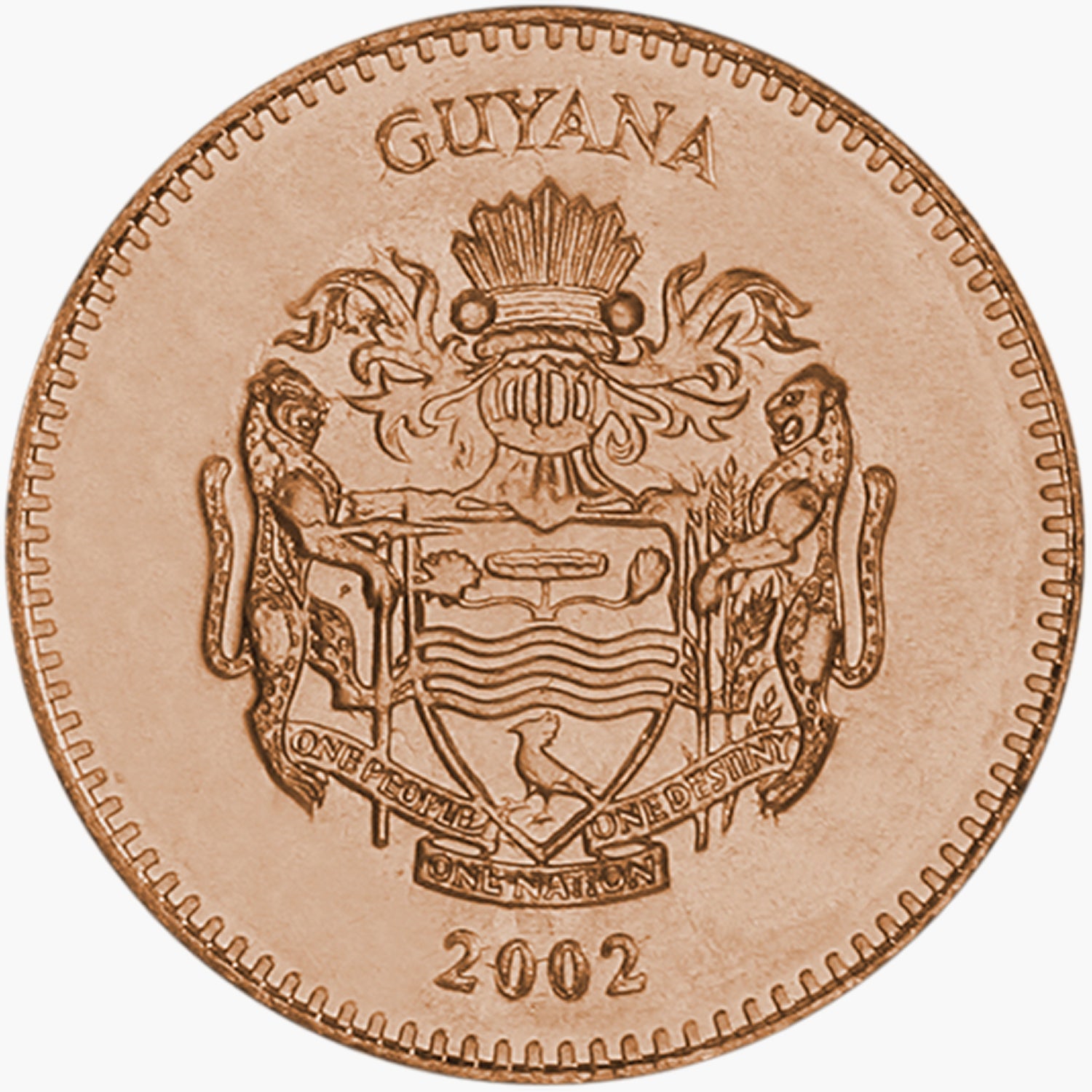 Los Cinco - Agricultura