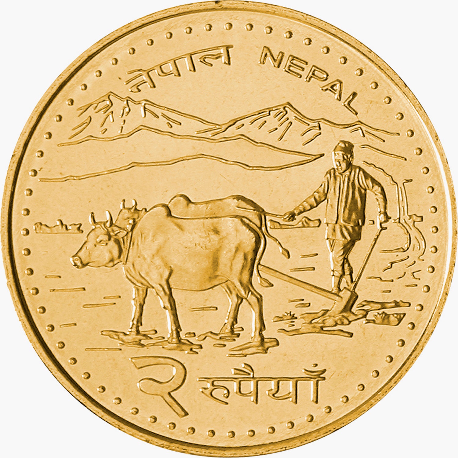 Los Cinco - Agricultura