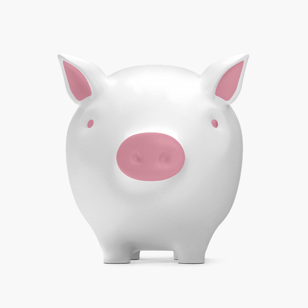 The Original Tilly Piggy Bank Saver Set
