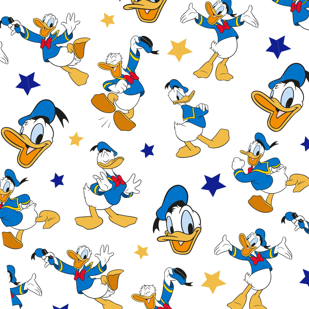 Disney Donald Duck Tirelire Saver Set