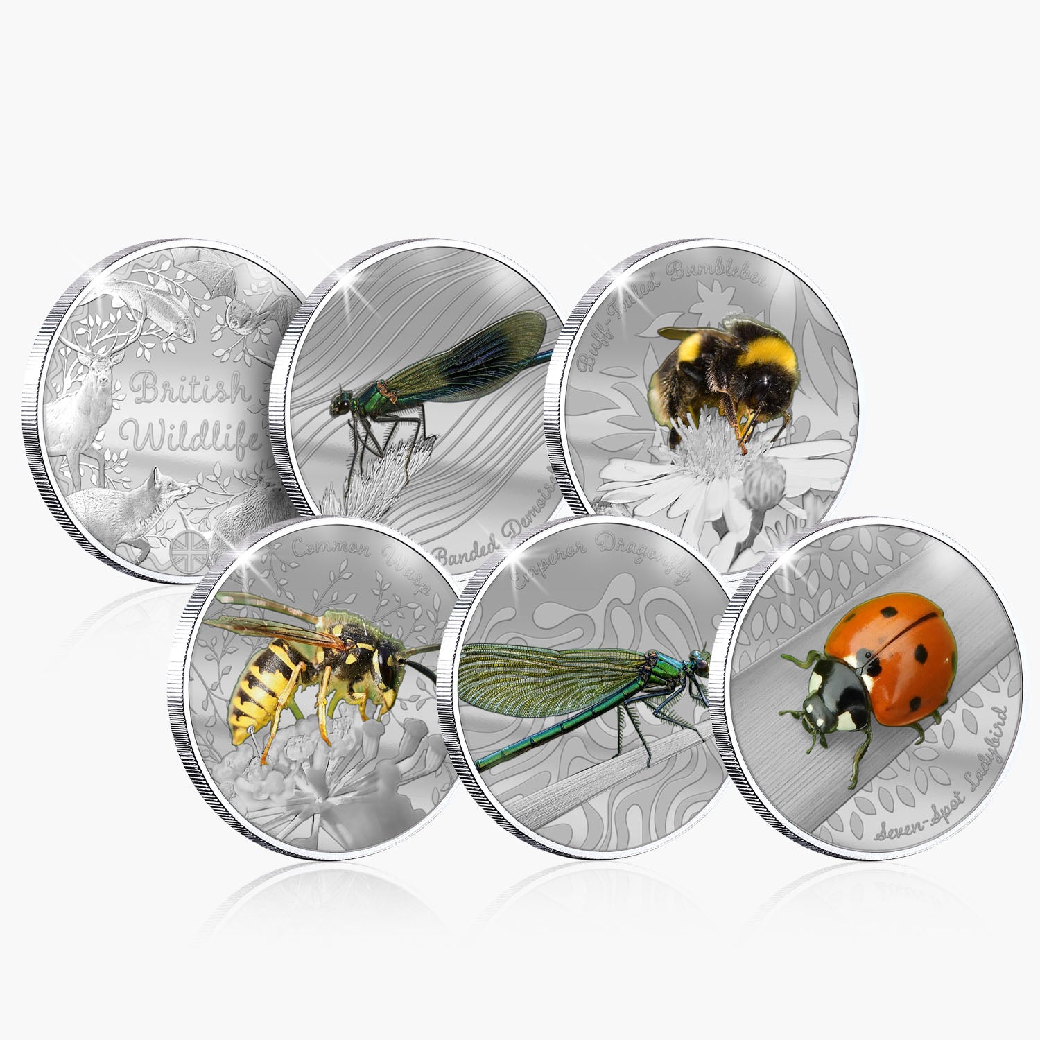 British Wildlife - Bundle B