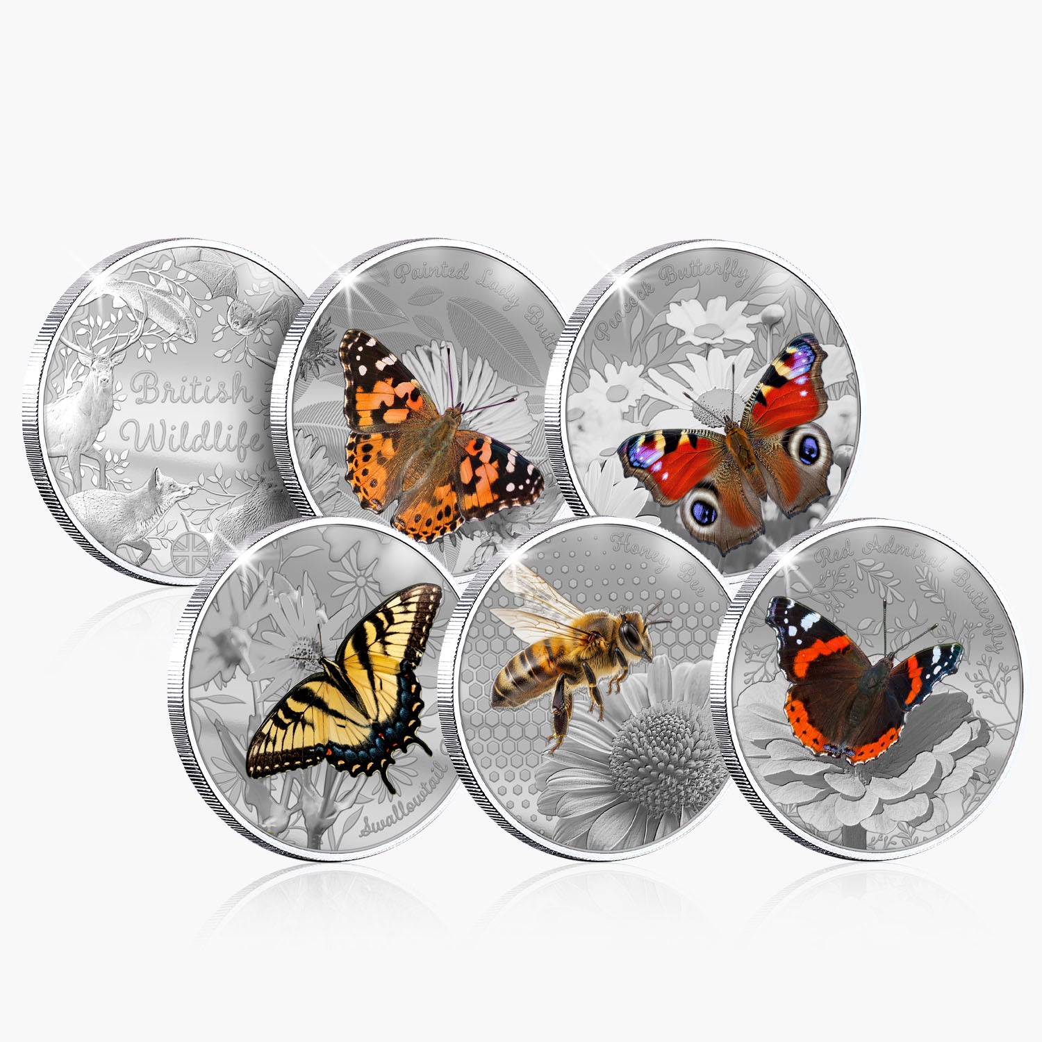 British Wildlife - Bundle C