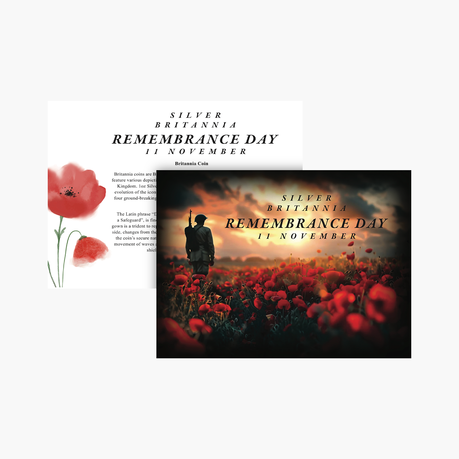 Remembrance Day 2025 Solid Silver Britannia Edition