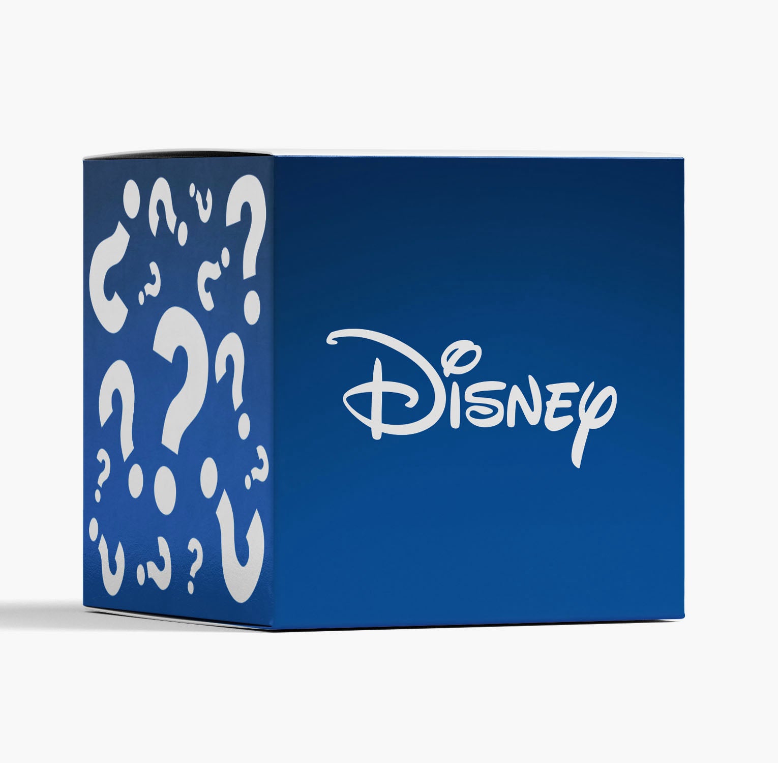 The 2023 Disney Fan Mystery Box