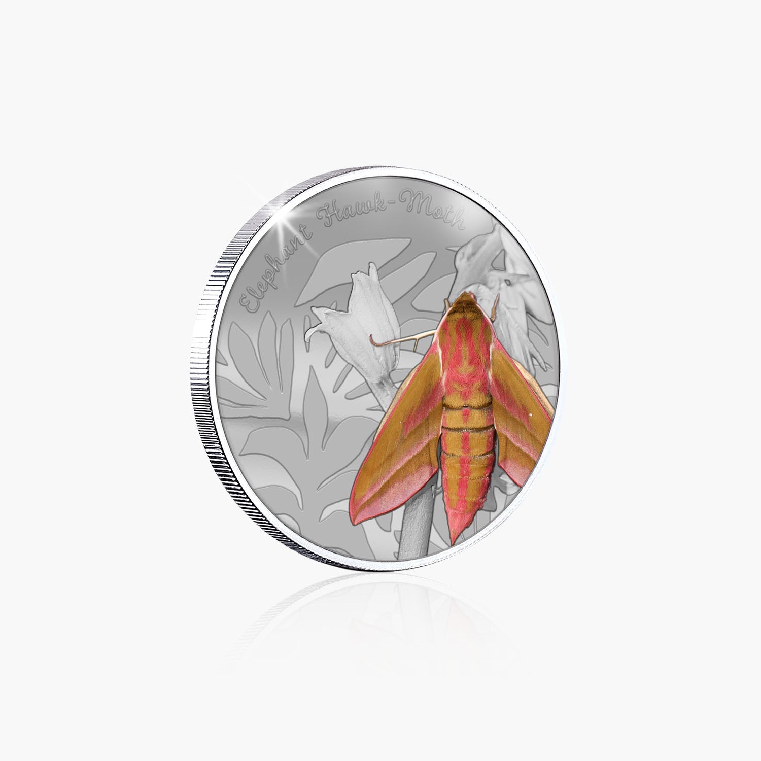 British Wildlife Elephant Hawk Moth Silver Plated BU Commemorative