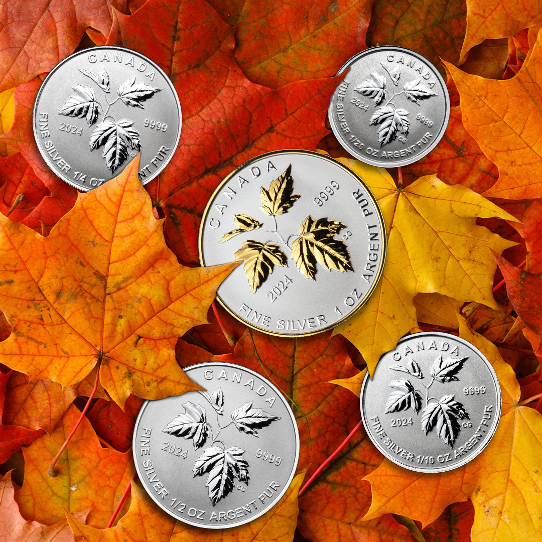 Royal Canadian Mint 2024 Silver Maple Leaf Fractional Set