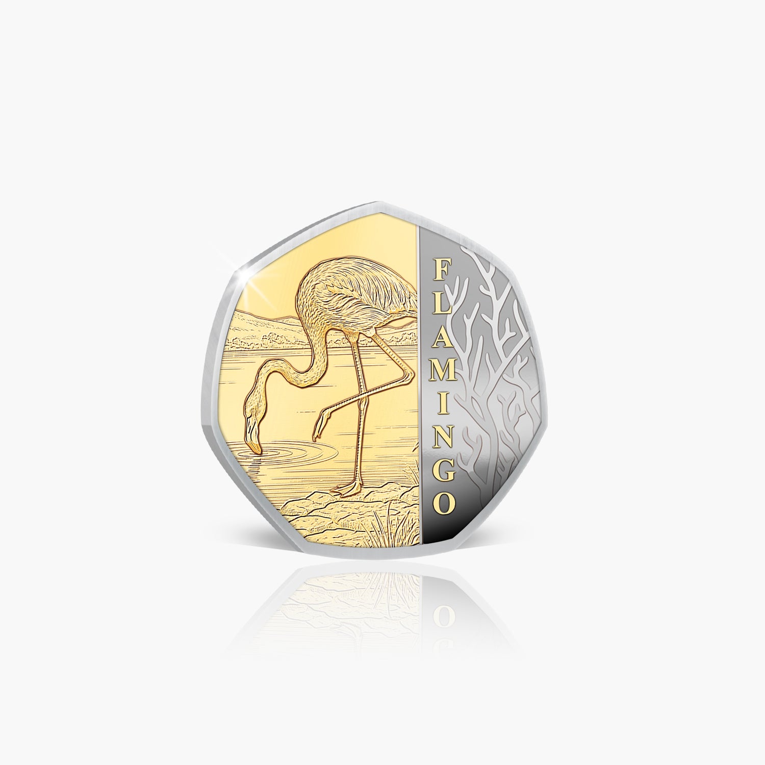 Motifs of the World 2026 - Flamingo Coin