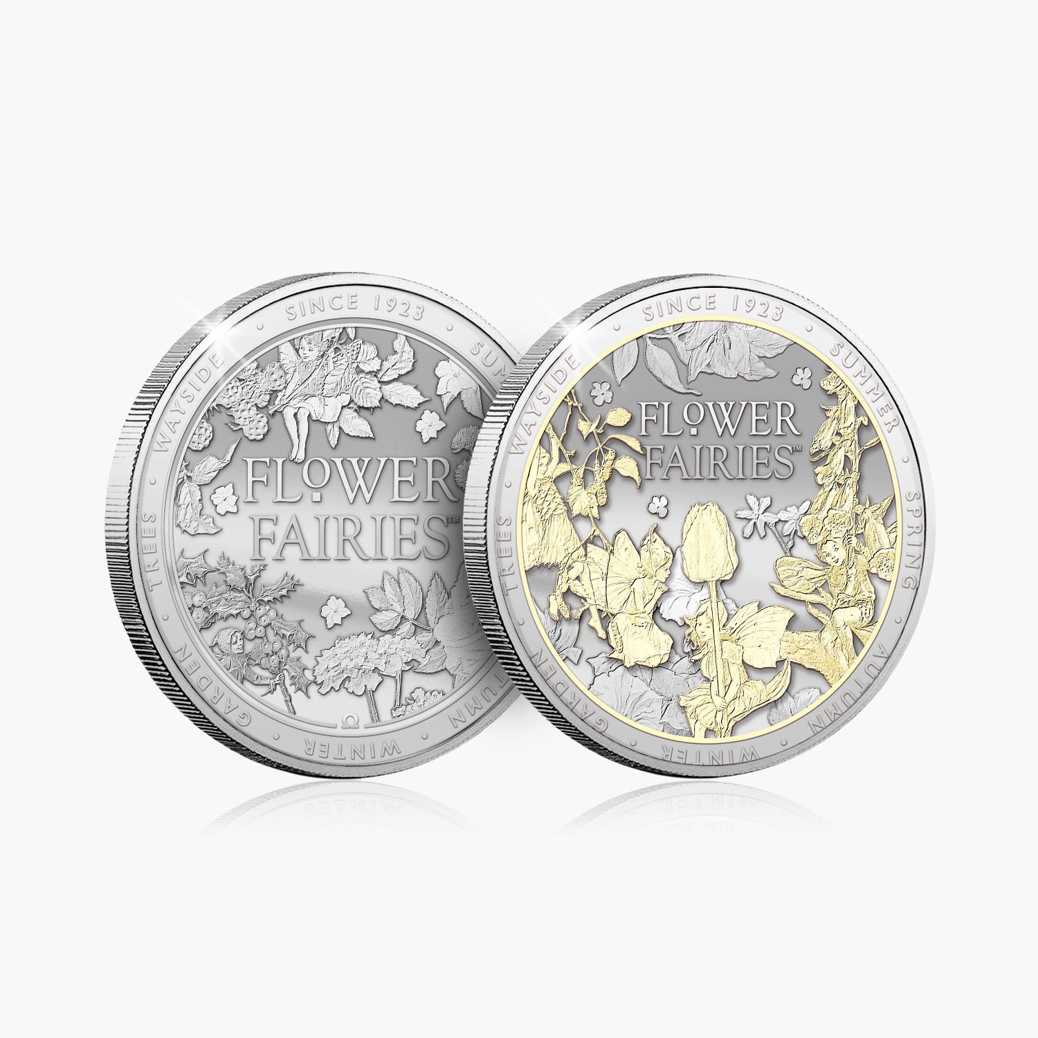 Flower Fairies 2025 - Medal Completer