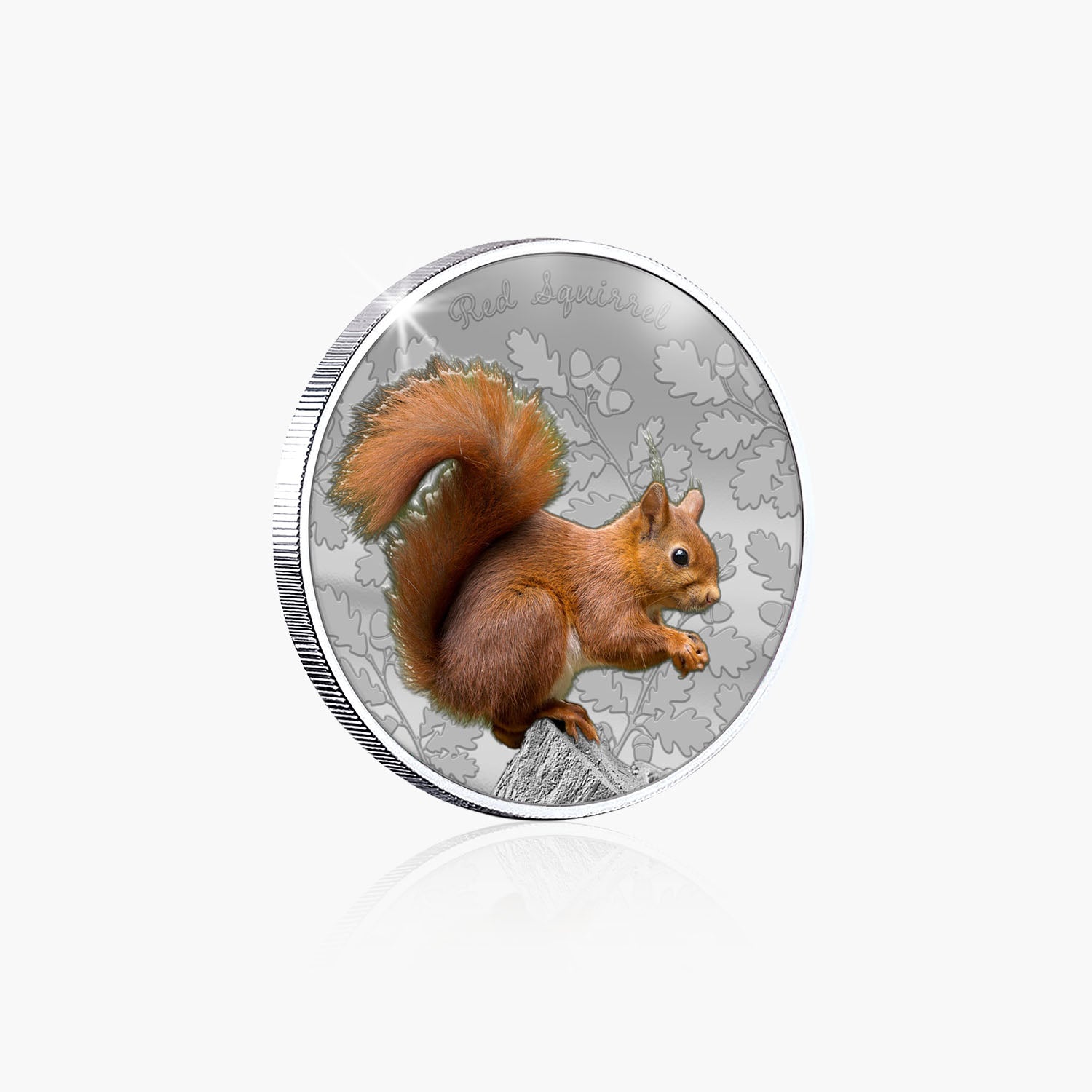 British Wildlife Red Squirrel Silver Plated BU Commemorative