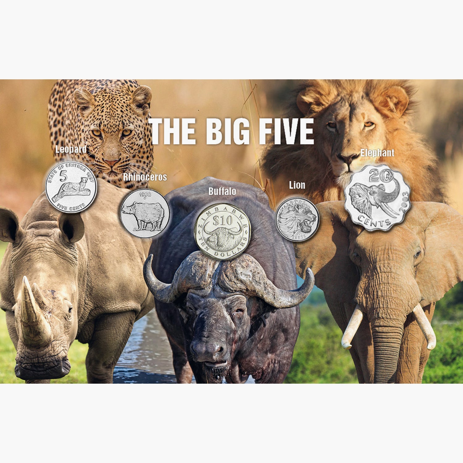 The Five - "Big Five"
