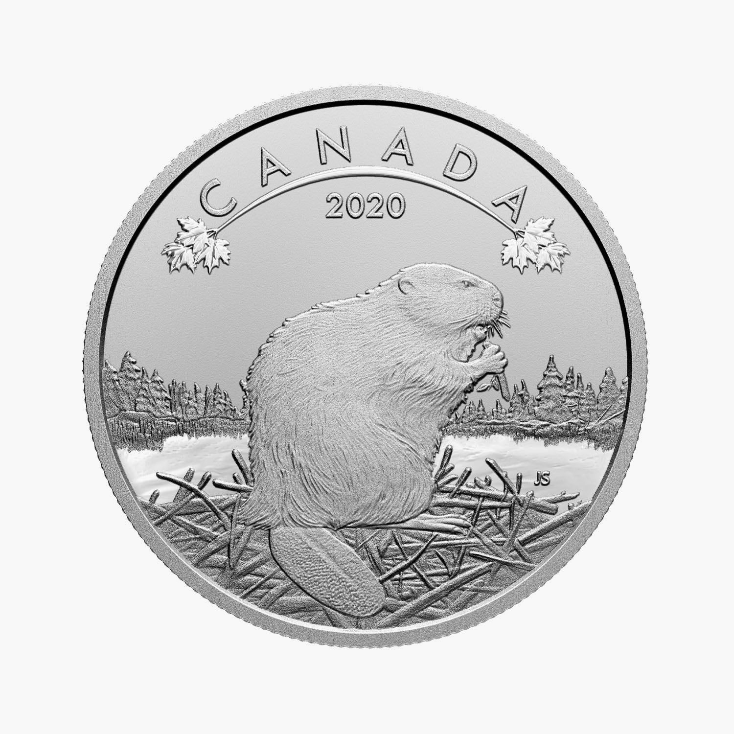 O Canada Beaver Coin