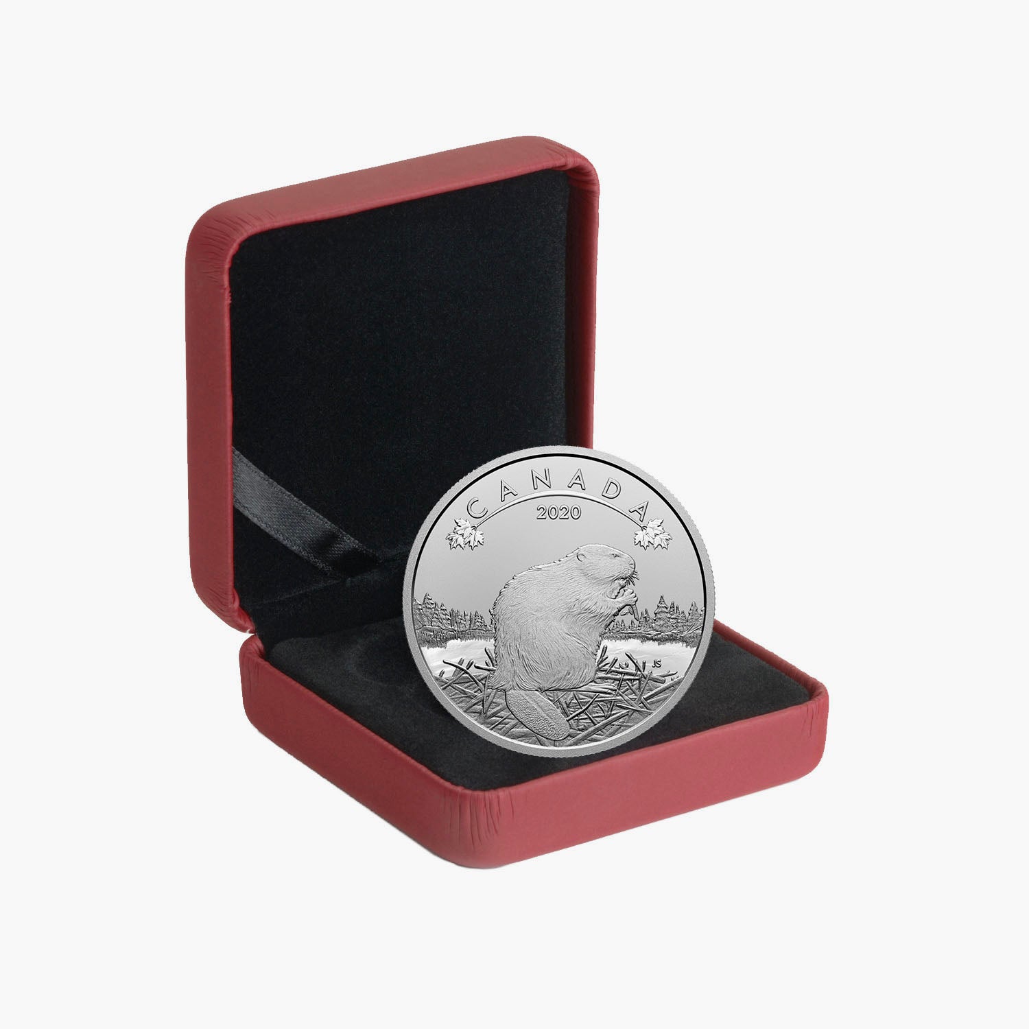 O Canada Beaver Coin