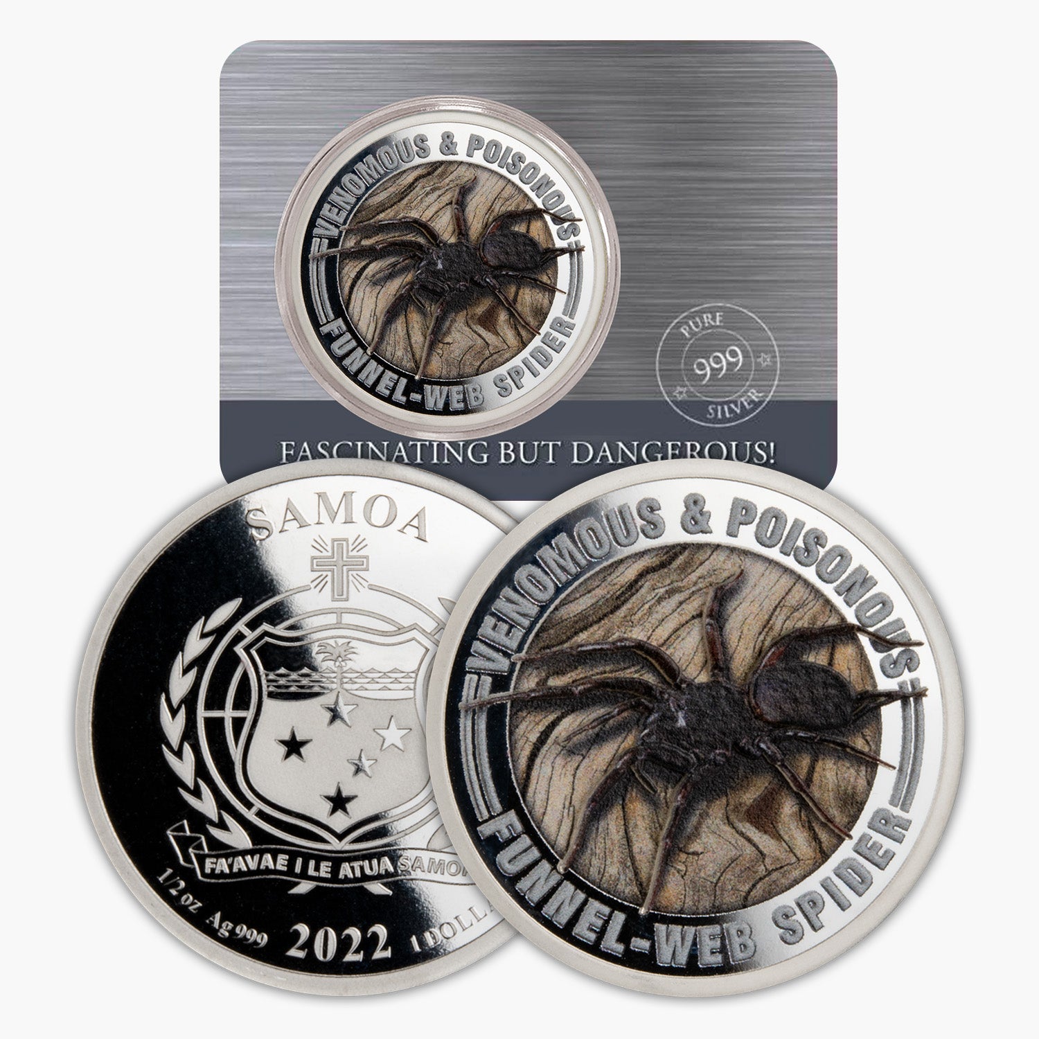 Funnel Web Spider One Dollar Coin