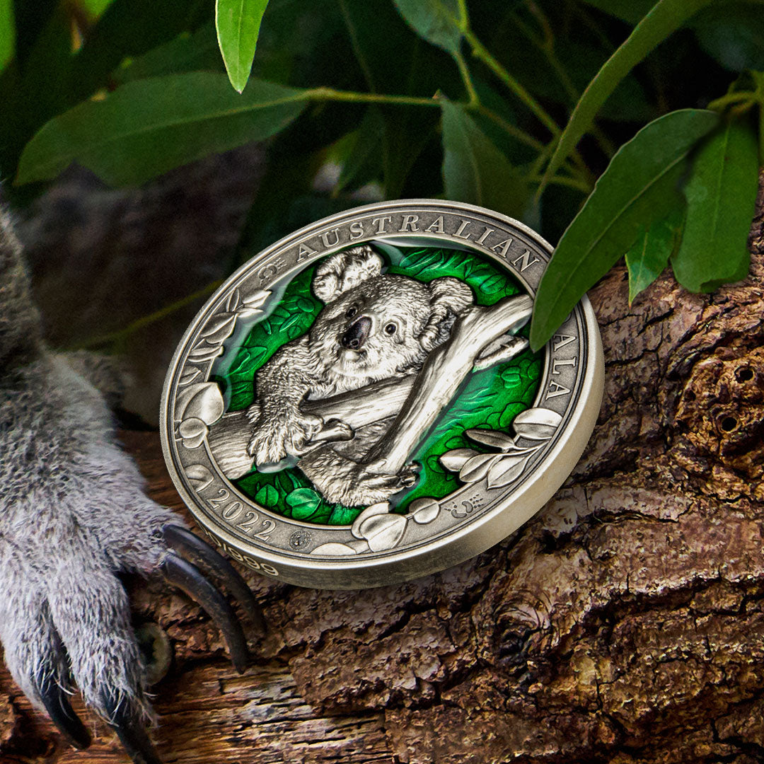 Colours of Wildlife Koala 3oz Silver Coin