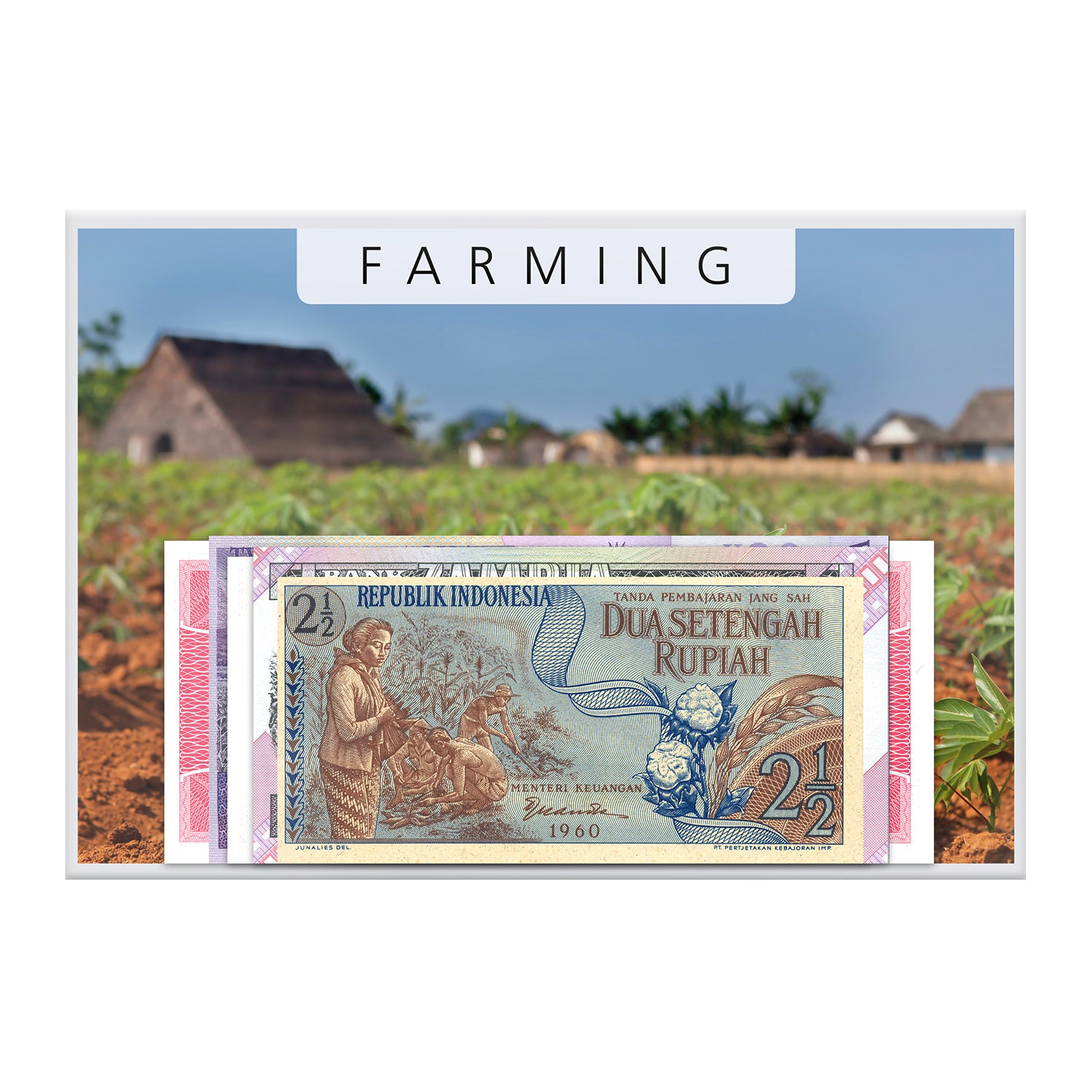 紙幣コレクション「農業」