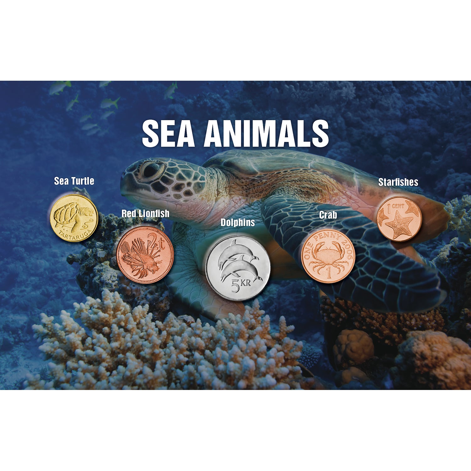 The Five - Sea Animals