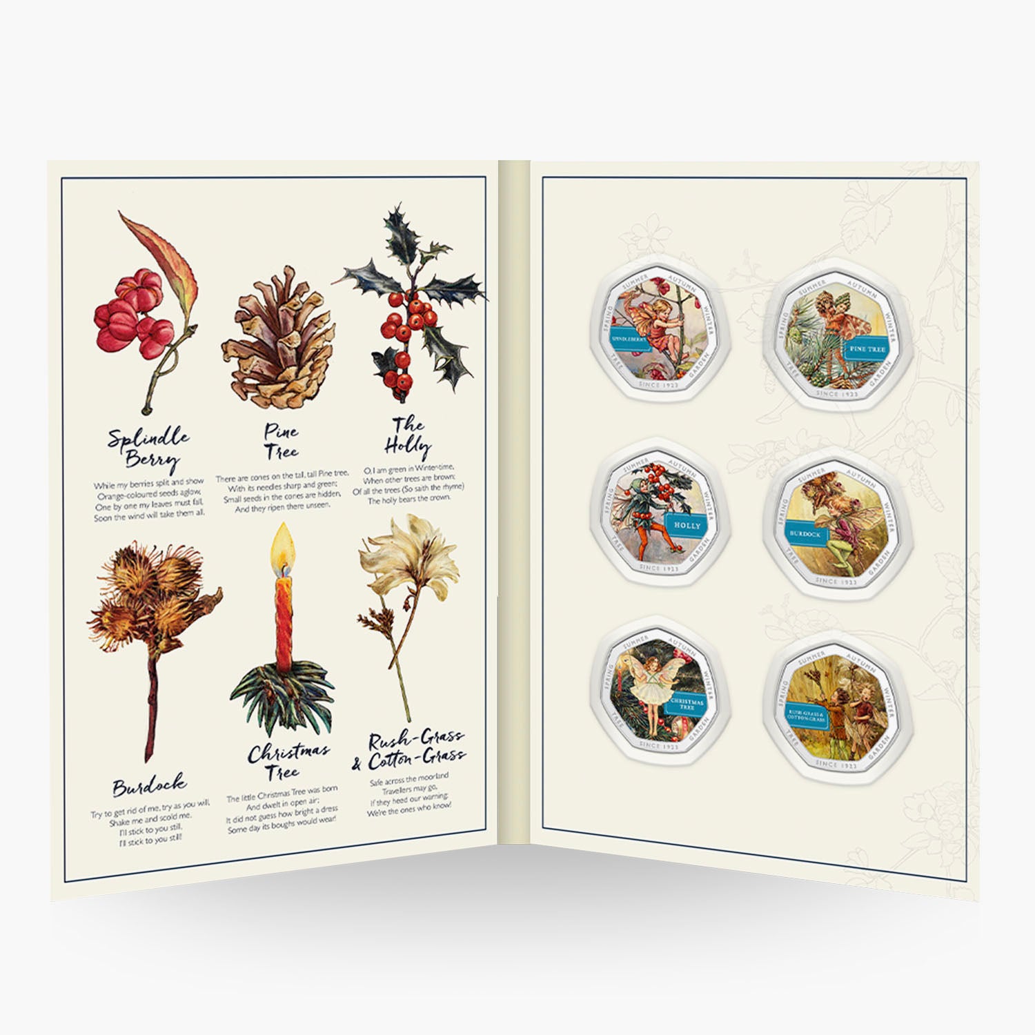 Flower Fairies Winter Collector Volume 1