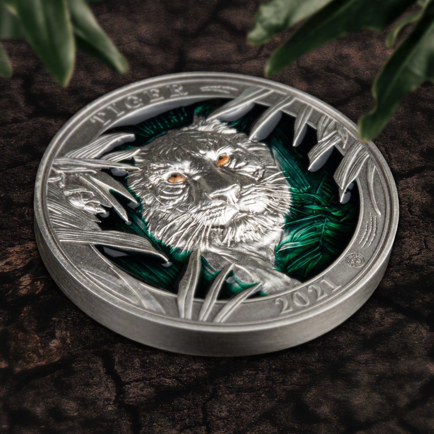 Colours of Wildlife Tiger 3oz Silver Coin