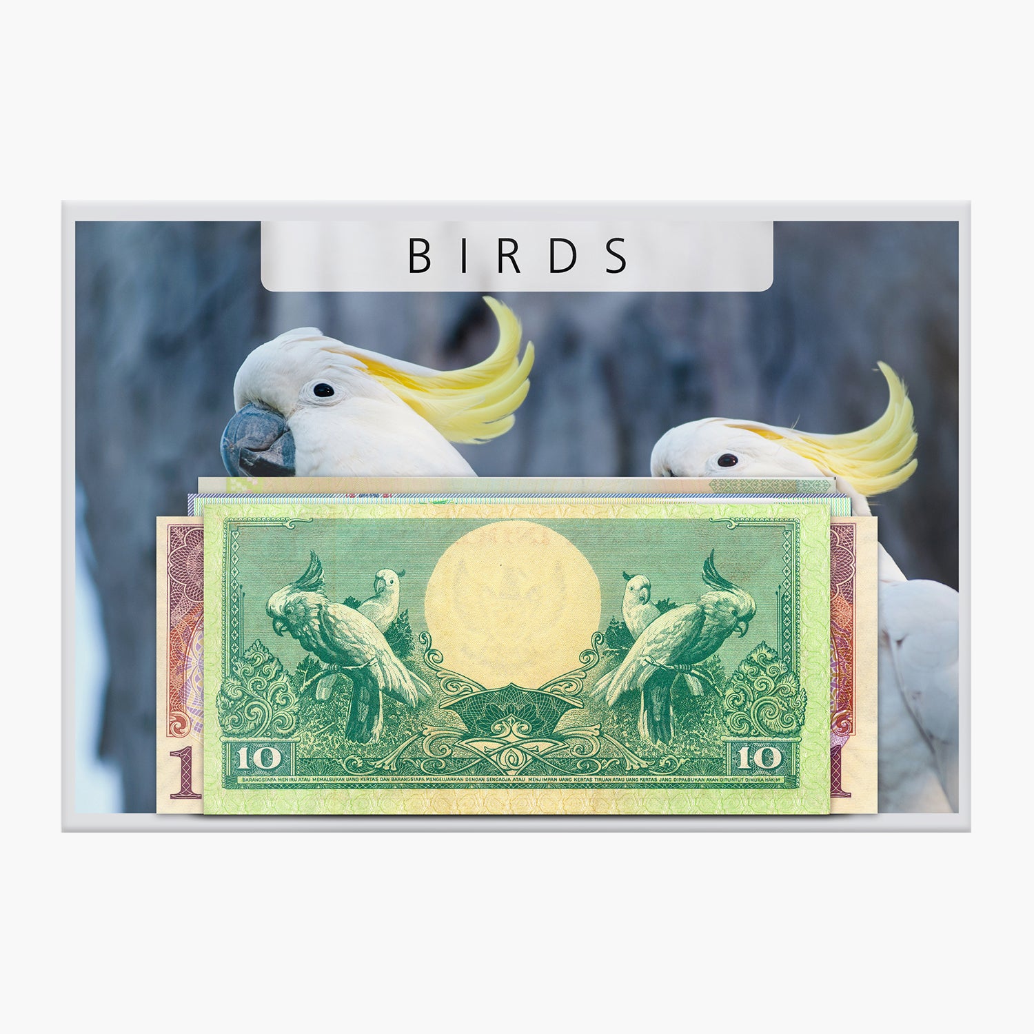 紙幣コレクション「Birds II」