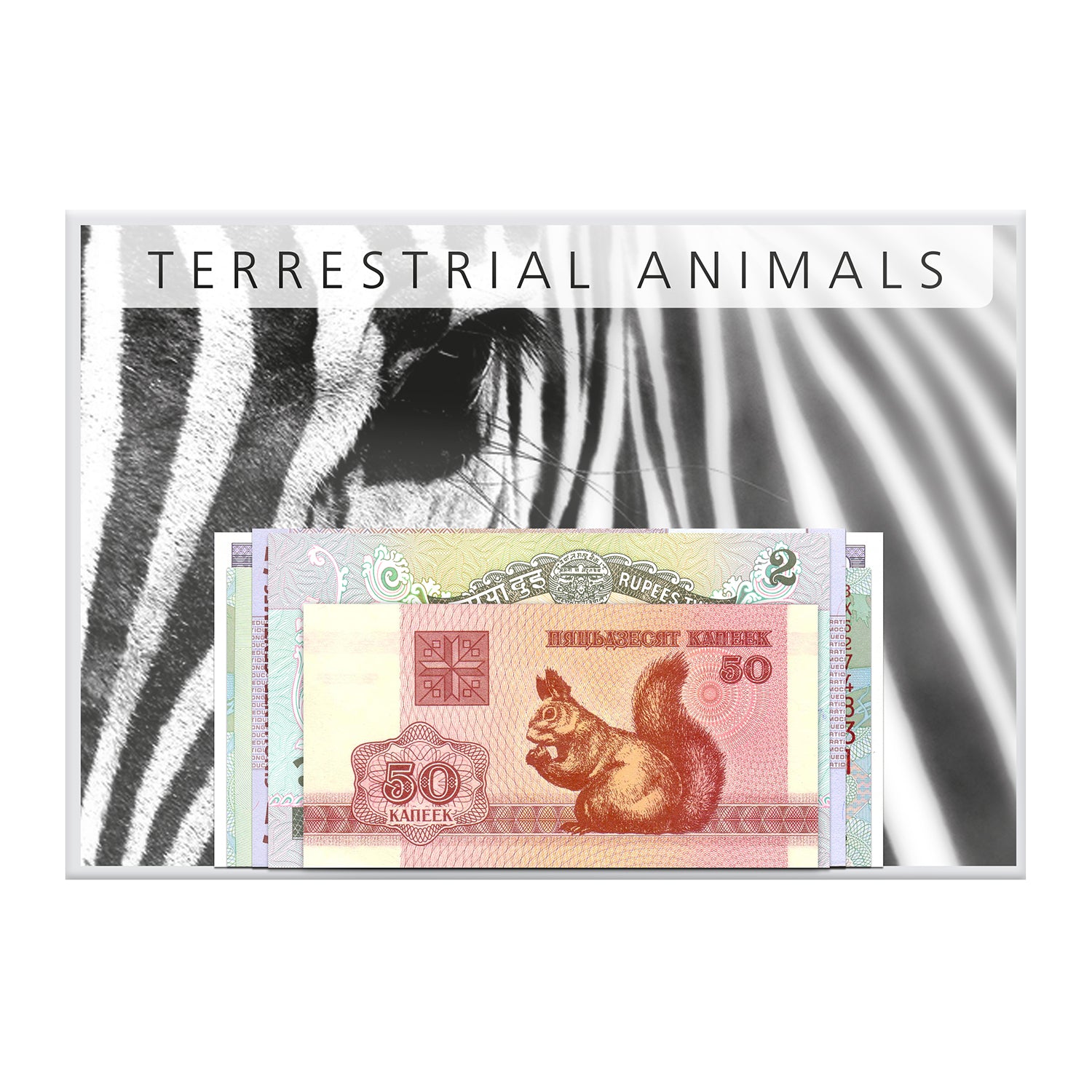 Banknote Collection "Terrestrial Animals"