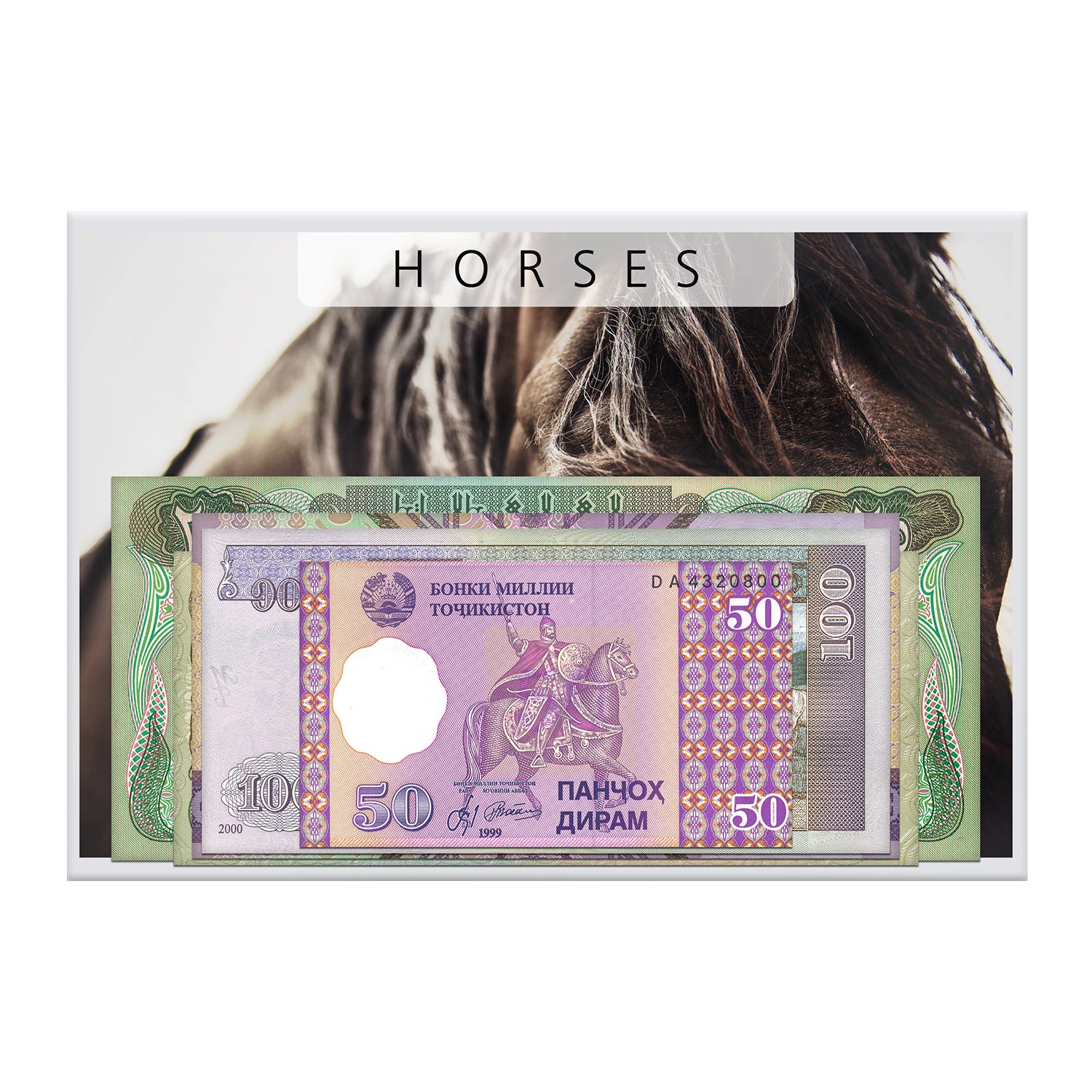 紙幣コレクション「馬」