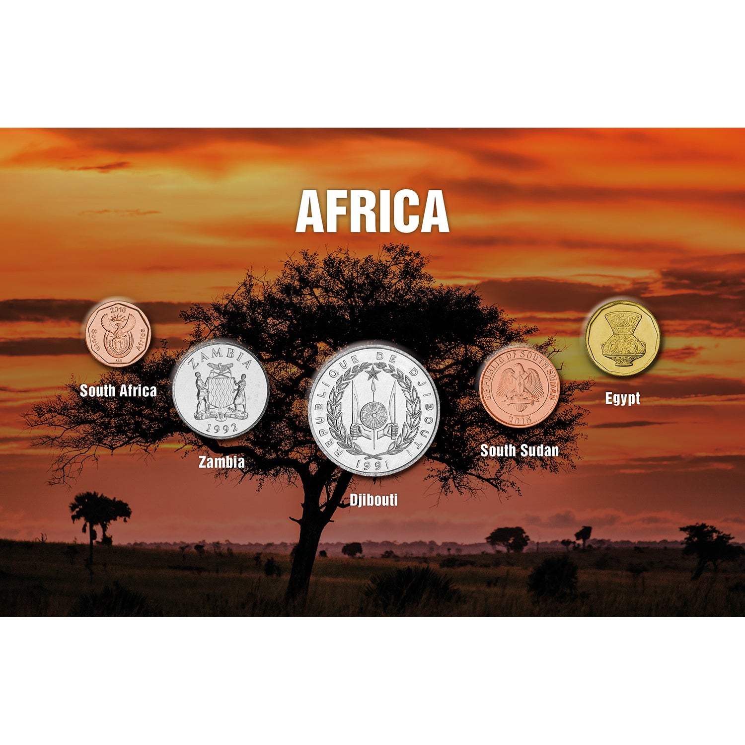 The Five - Africa