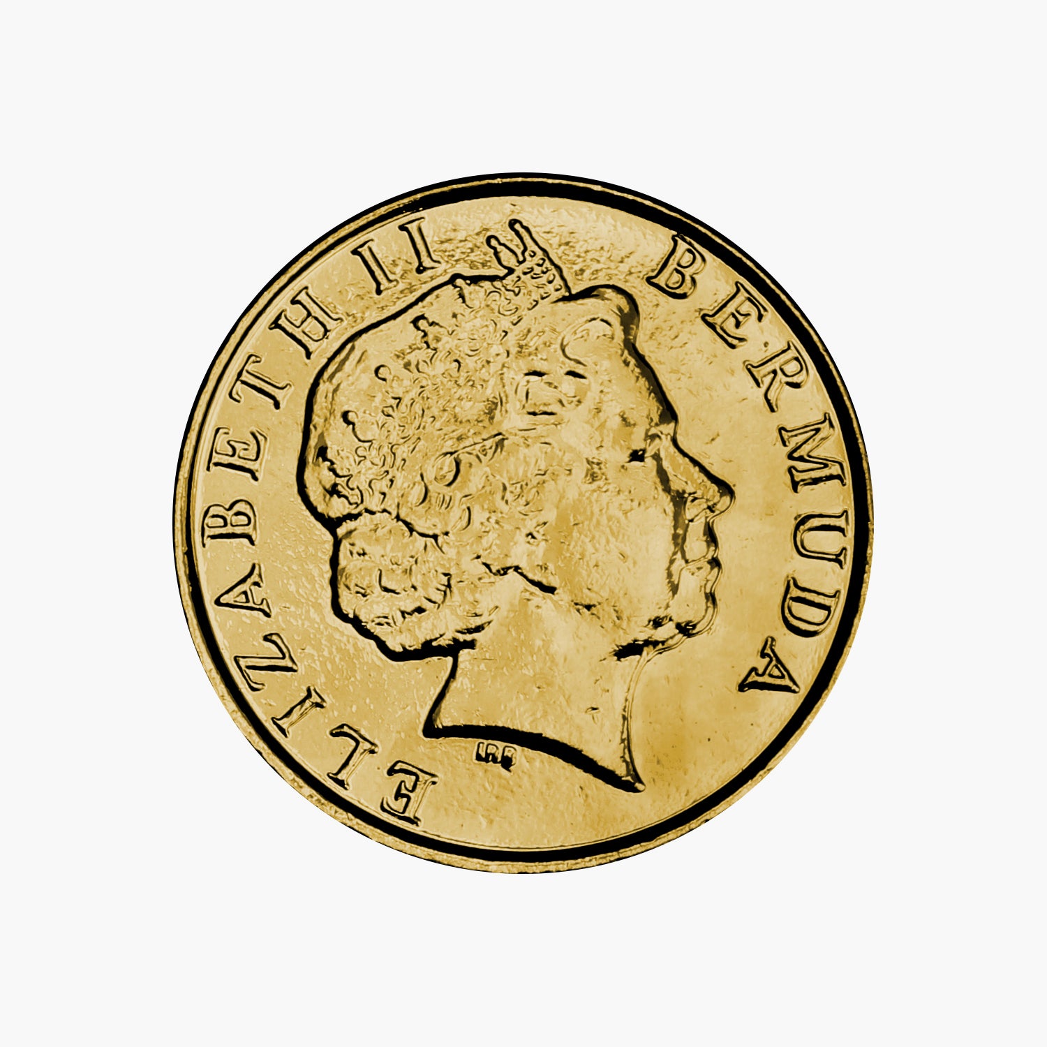 The Lucky Pig Coin