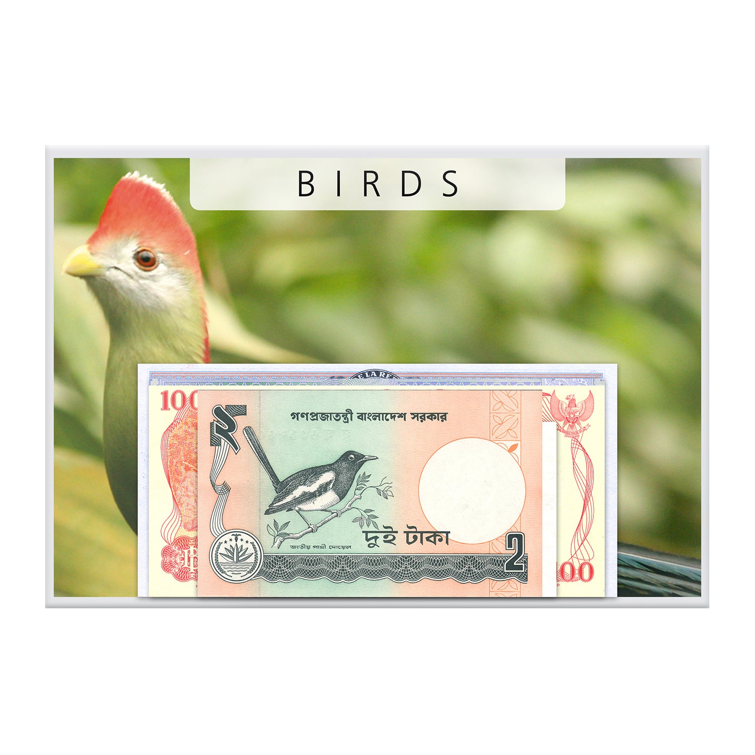 紙幣コレクション「鳥類 I」