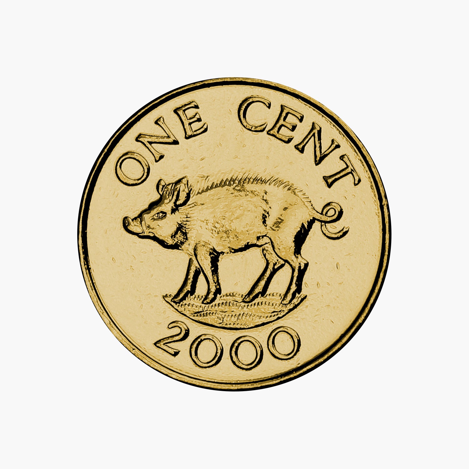 幸運の豚のコイン
