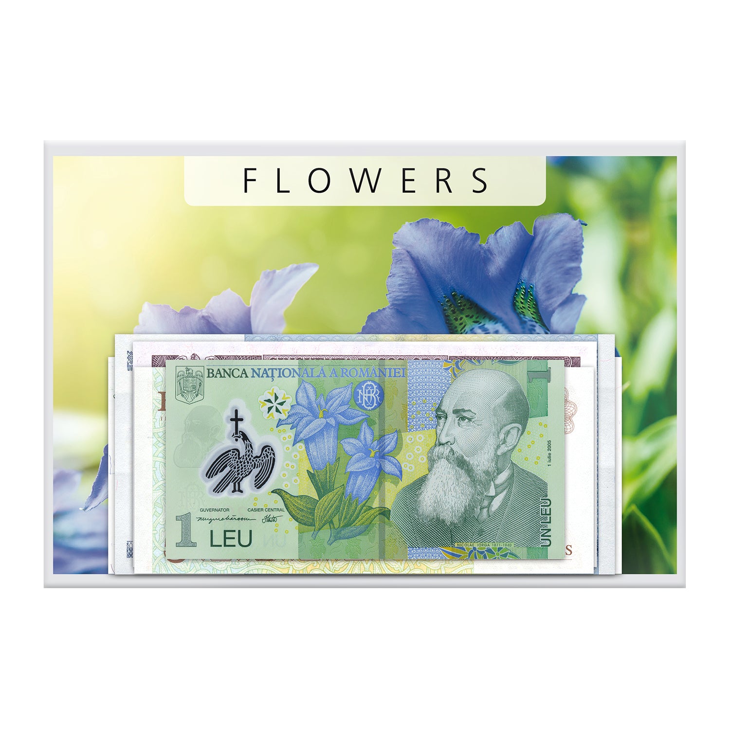 Banknote Collection "Flowers II"